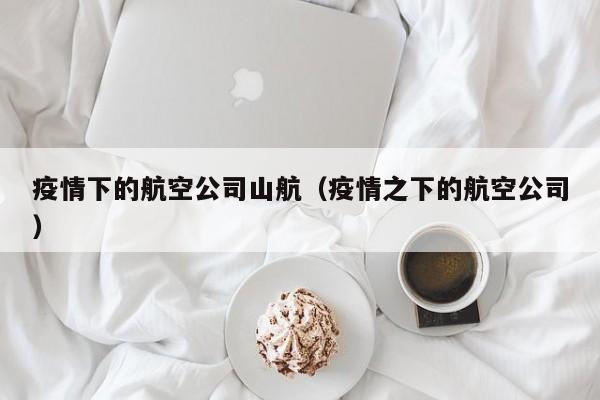 疫情下的航空公司山航(疫情之下的航空公司)