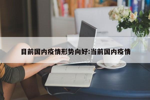 目前国内疫情形势向好:当前国内疫情