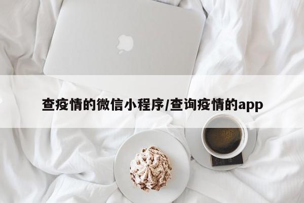 查疫情的微信小程序/查询疫情的app